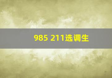 985 211选调生